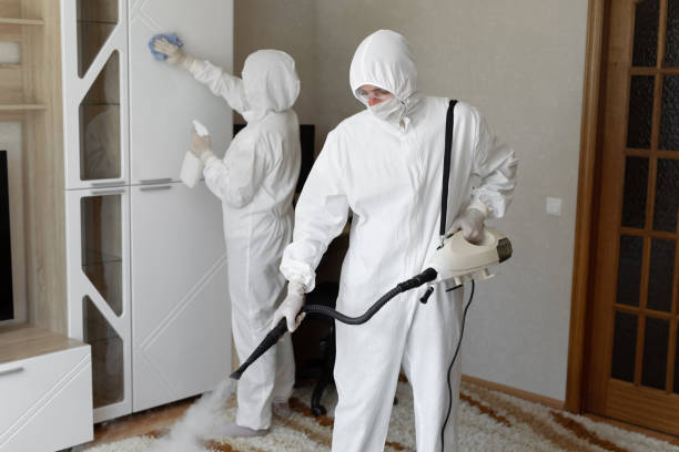 Certified Mold Removal in Beach Park, IL